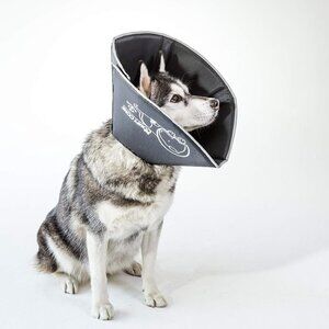 Comfy Cone Pet Cone for Dogs, Cats, Large, Black - Comfortable Soft Dog Cone